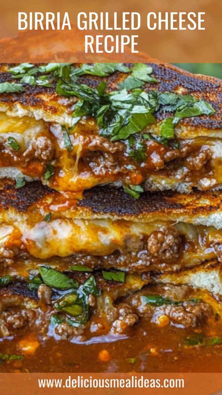 Birria Grilled Cheese Recipe – Delicious Meal Ideas
