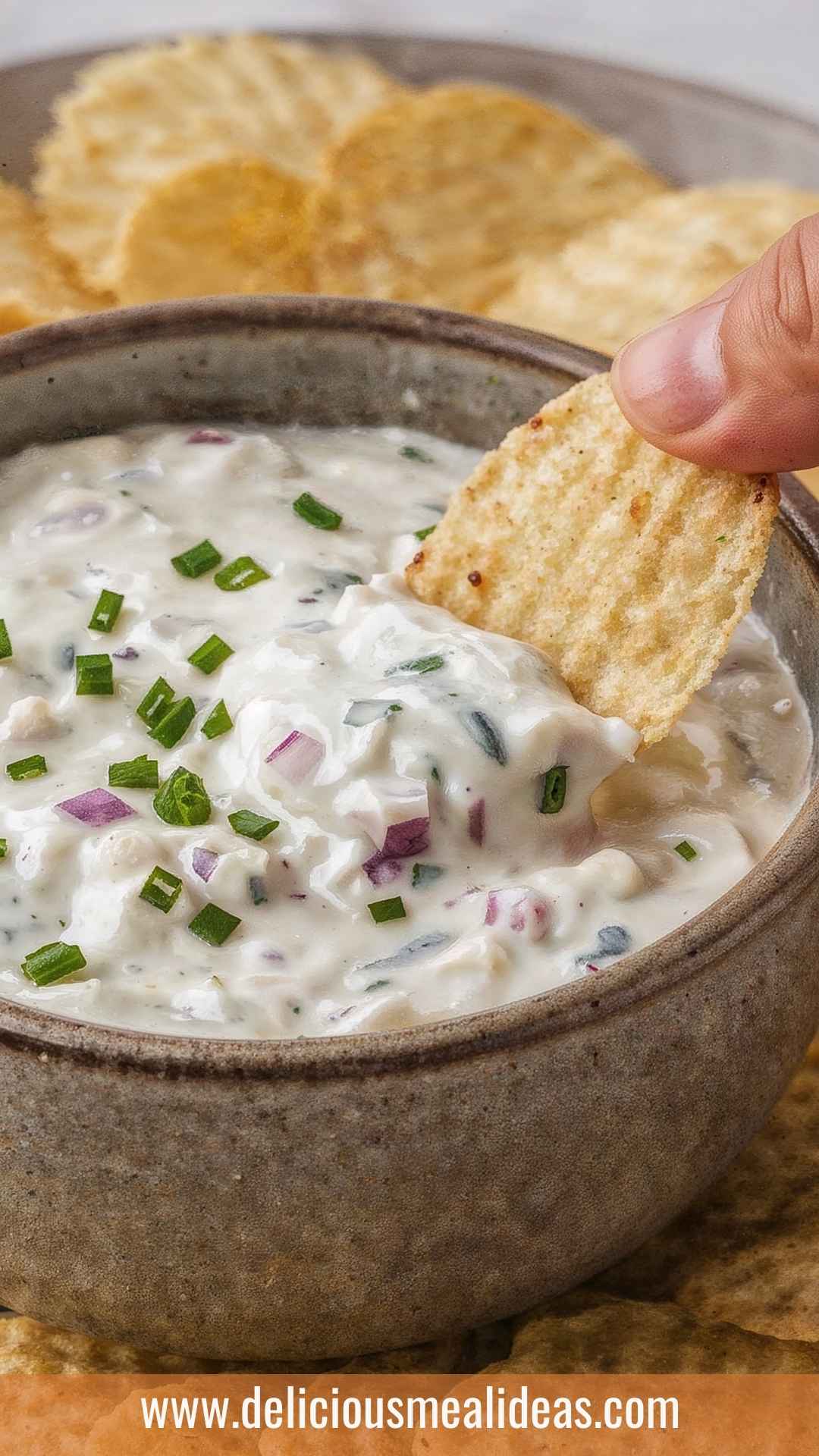 Best French Onion Dip