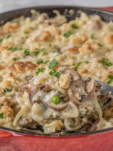 Turkey Tetrazzini