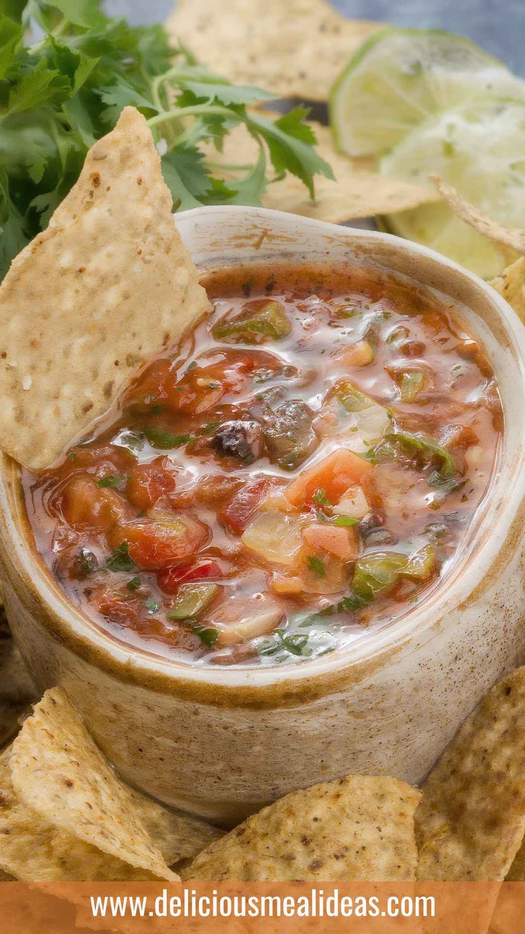 Best Restaurant Style Salsa Best Restaurant Style Salsa