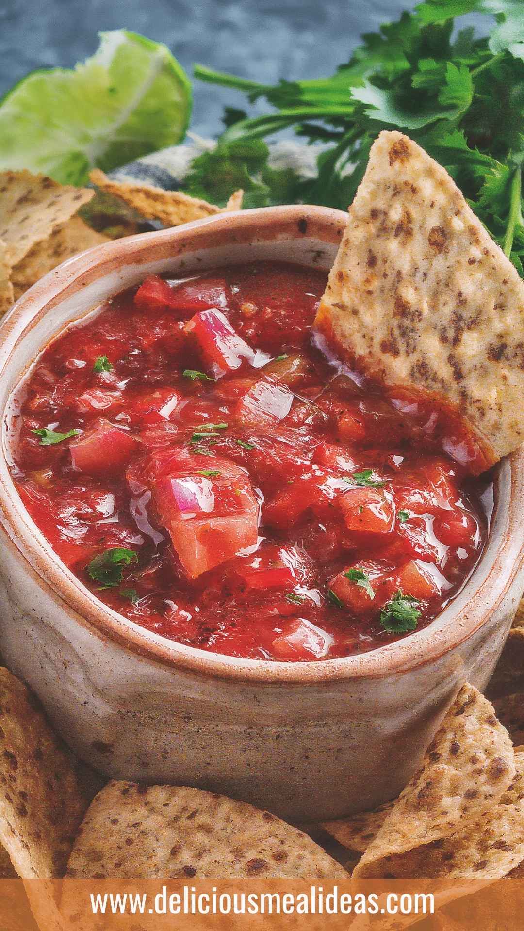 How to Make Restaurant Style Salsa How to Make Restaurant Style Salsa